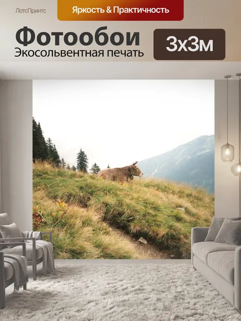 Фотообои Корова
