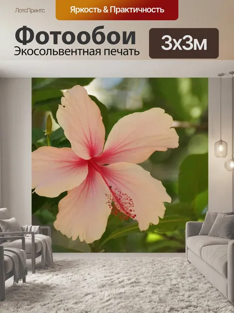 Фотообои Розовый