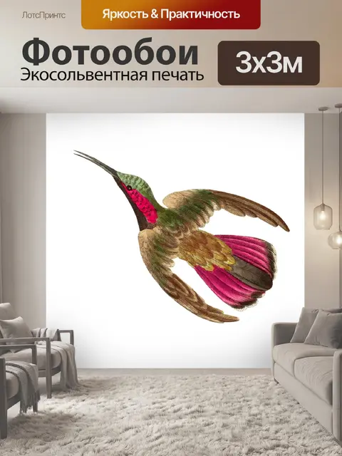 Фотообои Колибри птица старинное искусство