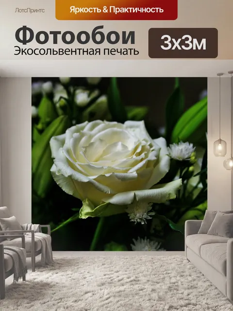 Фотообои открытая белая роза