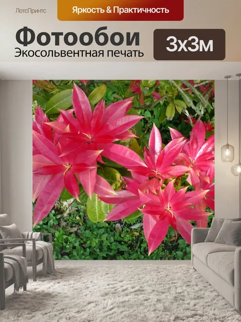 Фотообои Пиерис Кустарник