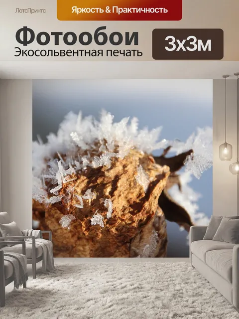 Фотообои Засохший цветок
