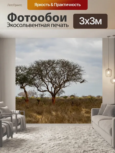 Фотообои Африке