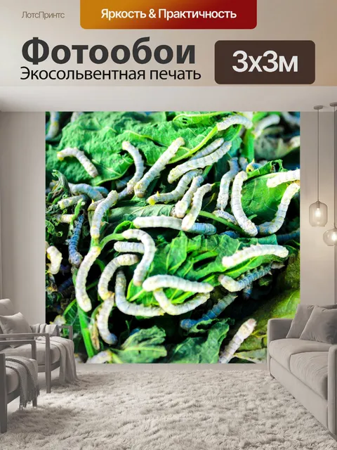 Фотообои Шелкопряд ест листья шелковицы