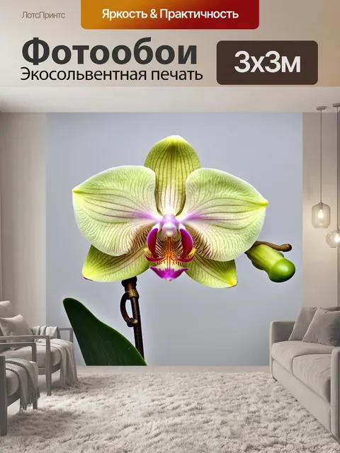 Фотообои орхидея, изображенная в стиле традиционной китайской живописи