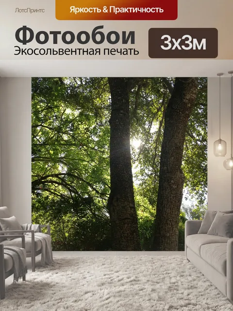 Фотообои Деревья