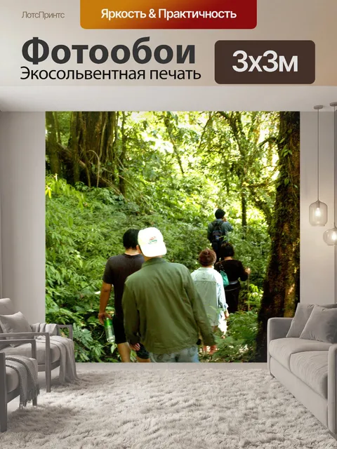 Фотообои Природа тропический лес дои Интанон наци