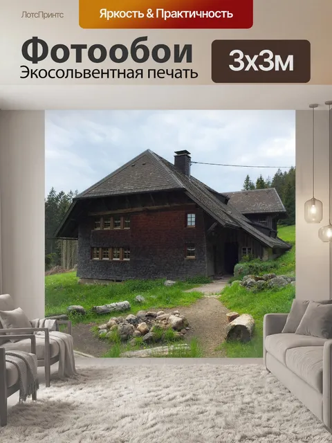 Фотообои Черный лес