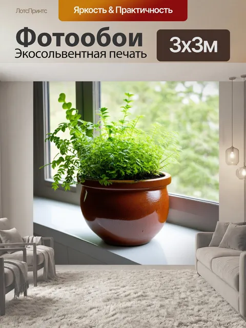 Фотообои коричневый керамический горшок с зелеными растениями, стоящий на подоконнике