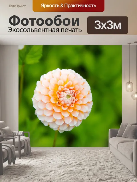 Фотообои Цветок