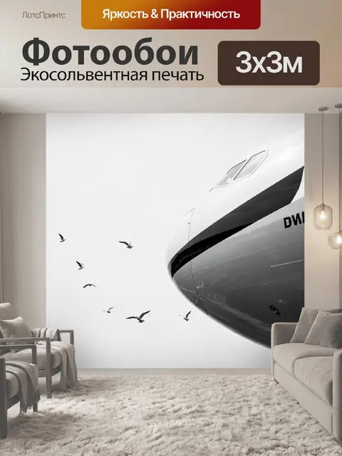 Фотообои Нос самолёта и чайки
