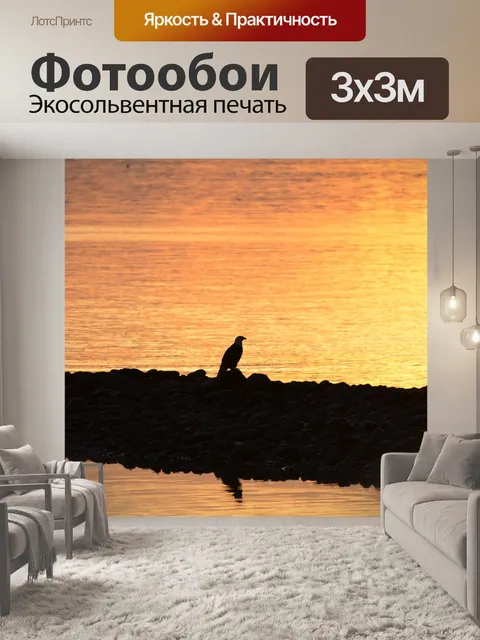 Фотообои Орел
