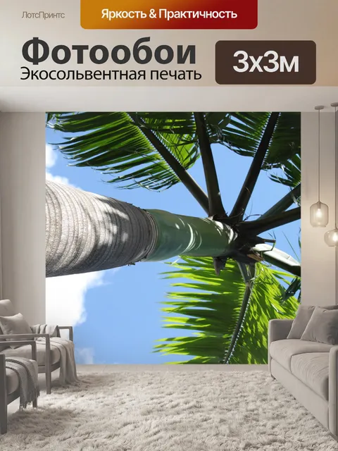 Фотообои пальма снизу вверх