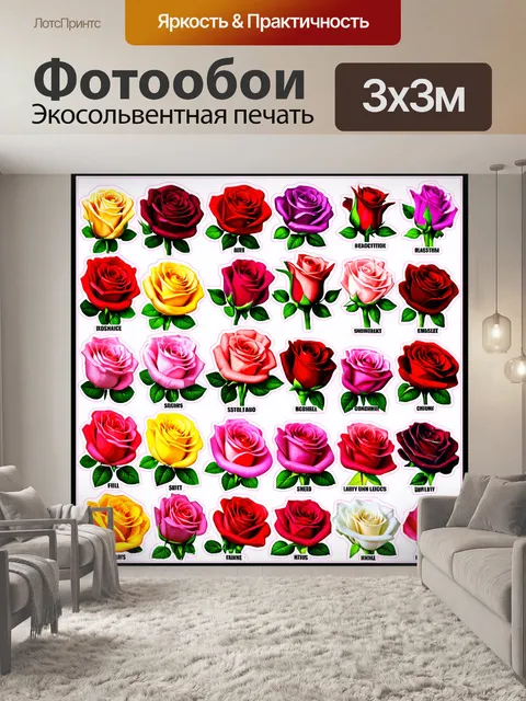 Фотообои розы в стиле стикер, с художественным написанием каждого вида роз