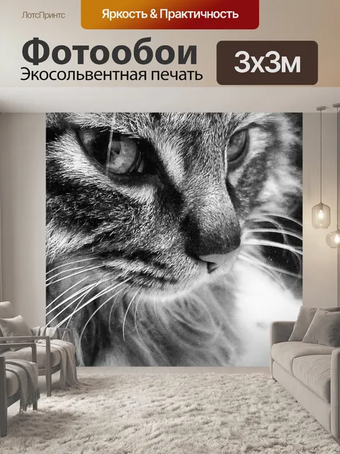 Фотообои Кот