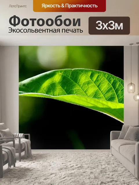 Фотообои Лист