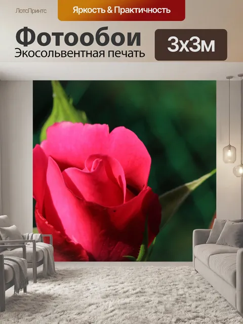 Фотообои бутон розовой розы на кусте роз