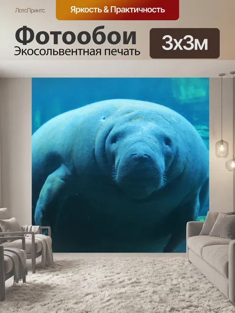 Фотообои Ламантины