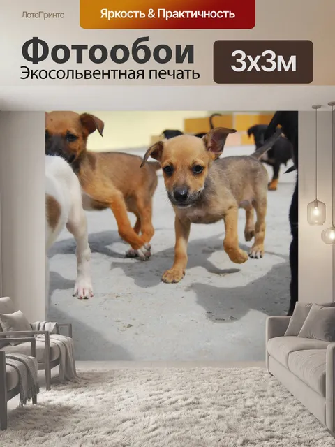 Фотообои Щенки