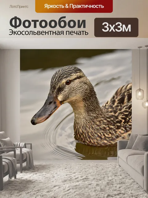 Фотообои Птицы