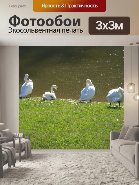 Фотообои Белые лебеди