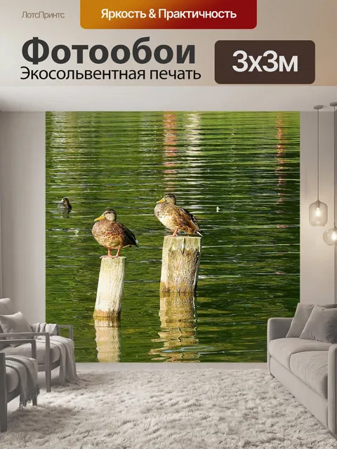Фотообои Озеро