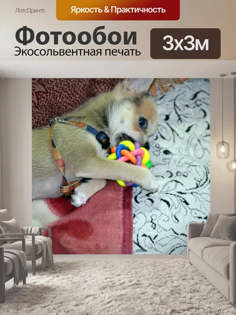Фотообои Щенок At Play