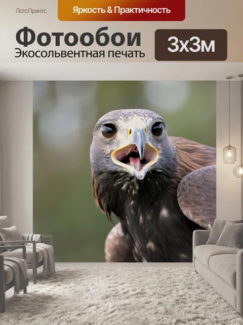 Фотообои Золотой орёл