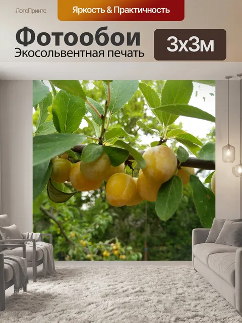 Фотообои Дерево