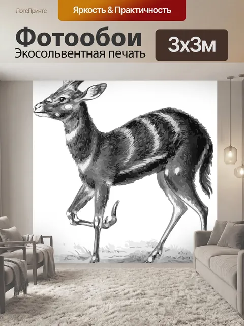 Фотообои Африка