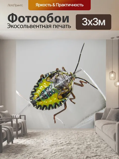 Фотообои Нимфа