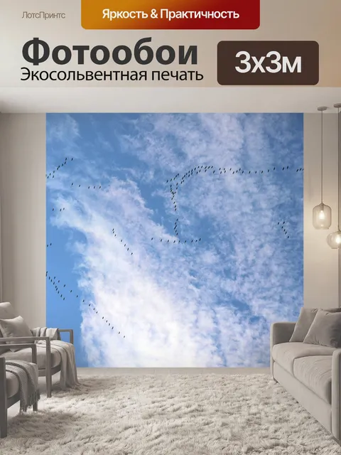 Фотообои Перелетные птицы