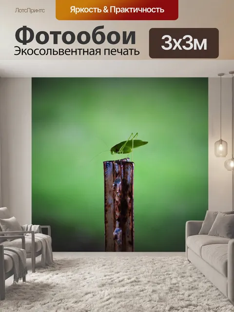 Фотообои Зеленый