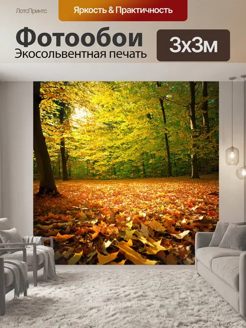 Фотообои лес с опавшими листьями, создающими ковер на земле, и мягким светом