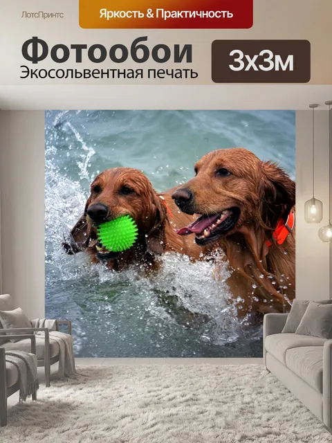 Фотообои Собаки
