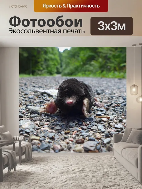 Фотообои Теряться