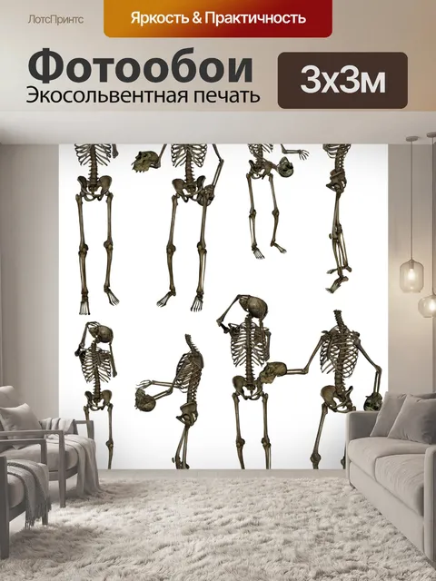 Фотообои Скелет