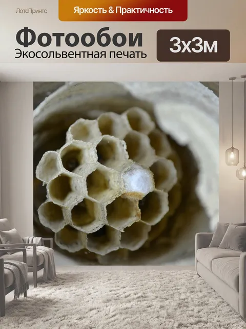 Фотообои Осиное гнездо