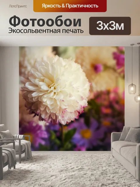 Фотообои Хризантемы
