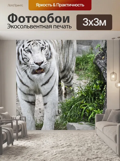 Фотообои Тигр