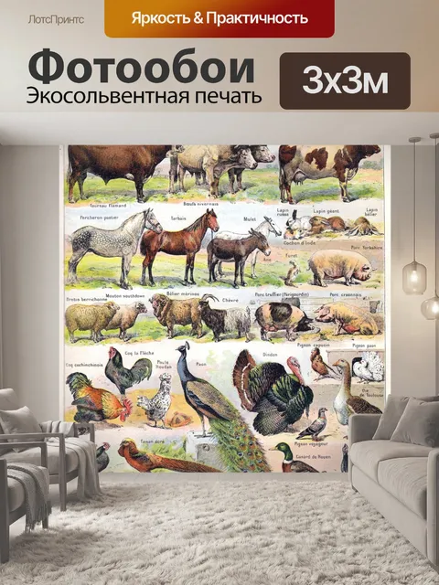Фотообои Животные иллюстрации старинное искусство
