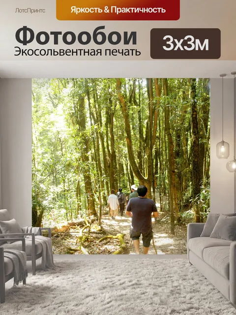 Фотообои Природа тропический лес дои Интанон наци