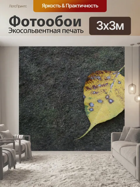 Фотообои Лист