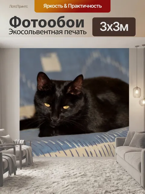 Фотообои Черная кошка на диване