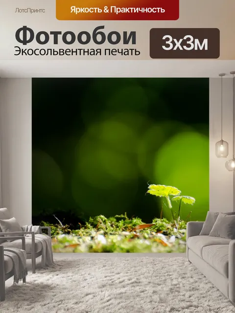 Фотообои Зеленые листья на мох