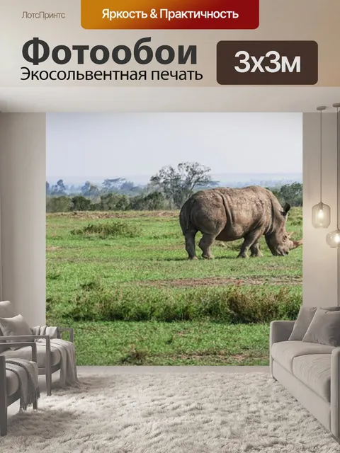 Фотообои Панорама