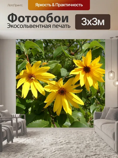 Фотообои Желтые цветы