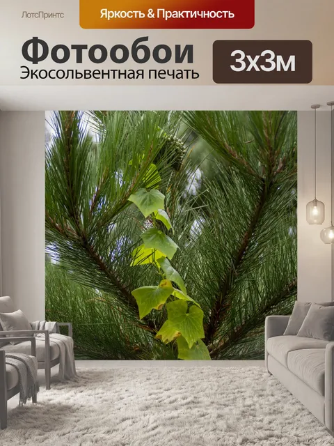 Фотообои Плющ и Сосна