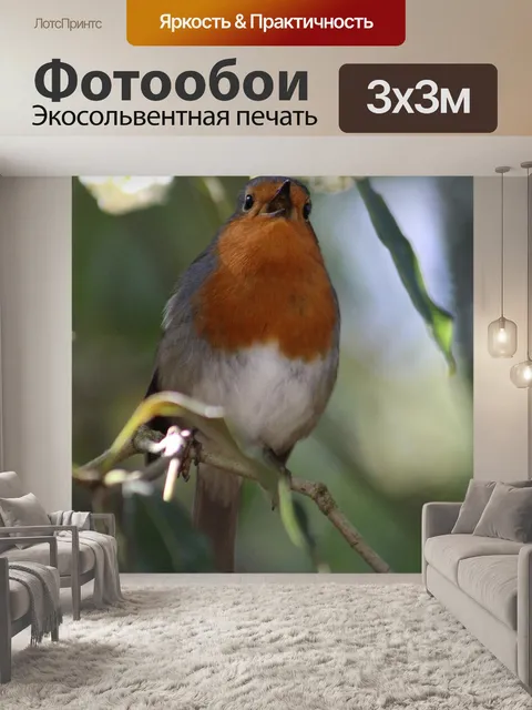 Фотообои Птицы
