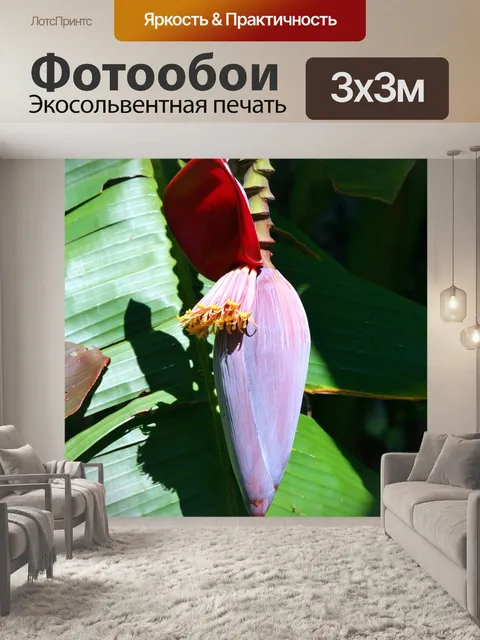 Фотообои Банановые цветы